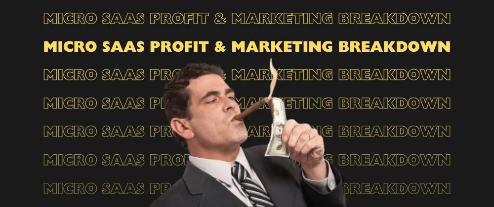 Here's my SaaS Cost, Profit, and Marketing Breakdown