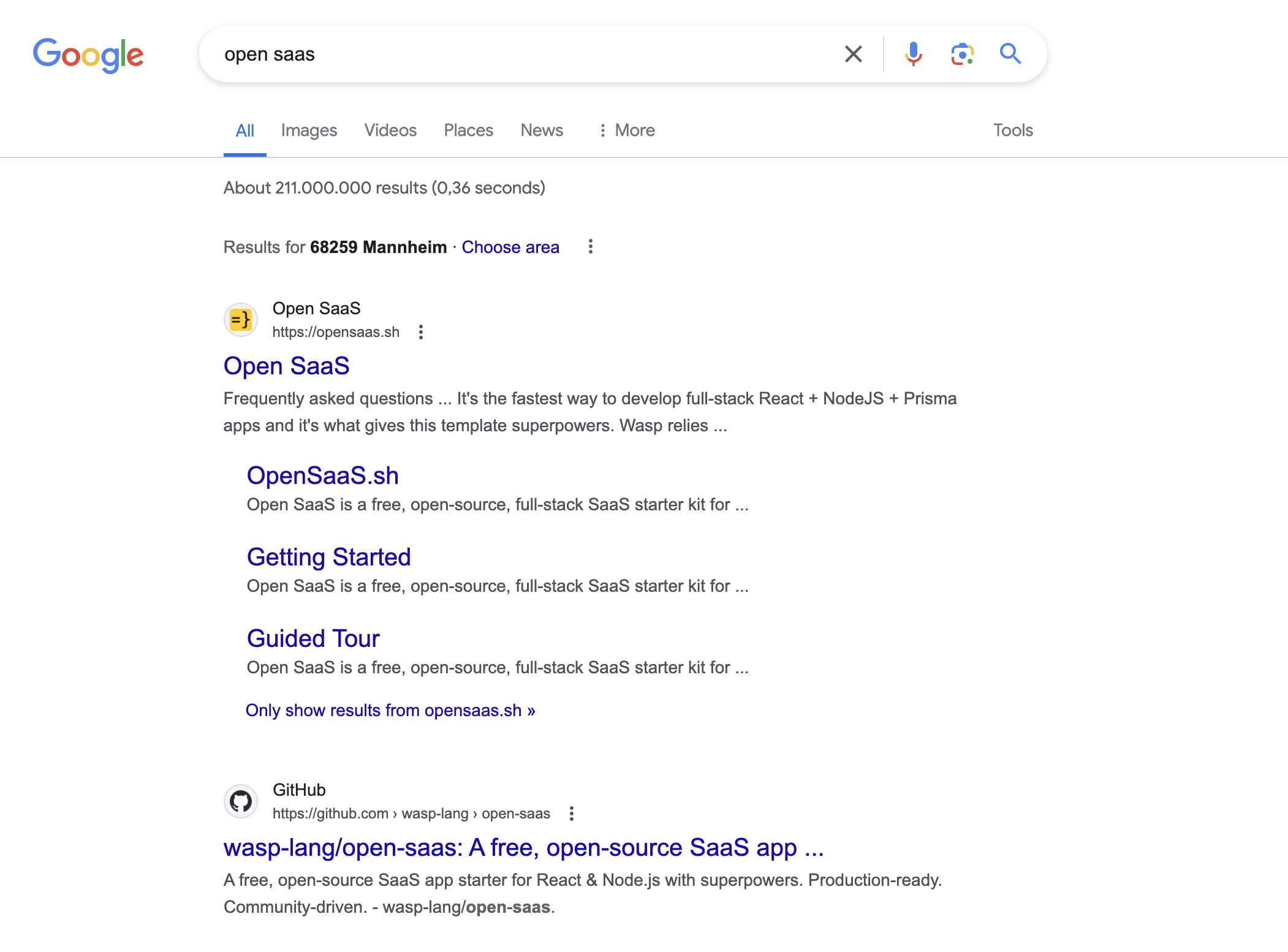 Open SaaS Google Search